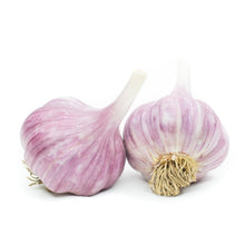Load image into Gallery viewer, Red Russian Garlic
