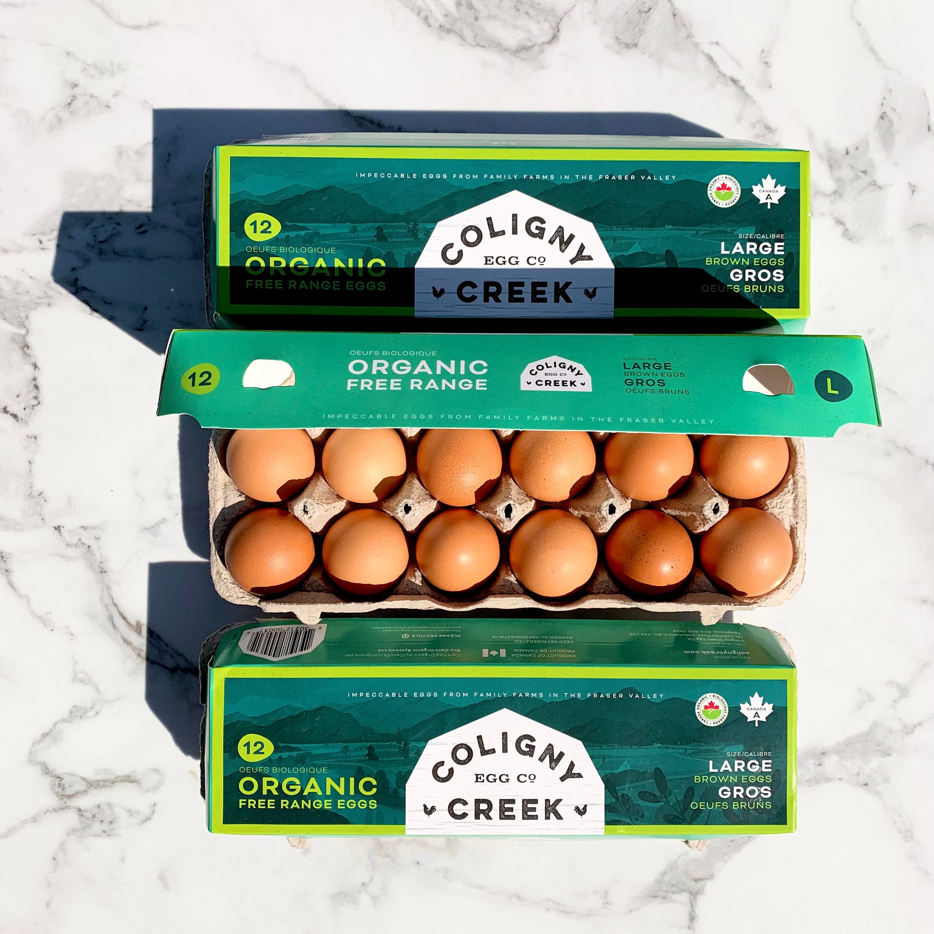 Organic Free Range Eggs - Large - 3 Dozen – Coligny Creek Egg Co.